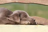 DORMIR 141